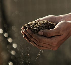 A person holding dirt in their hands