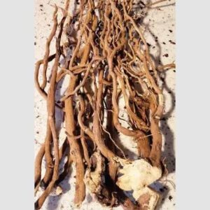 A bunch of root lying on the ground