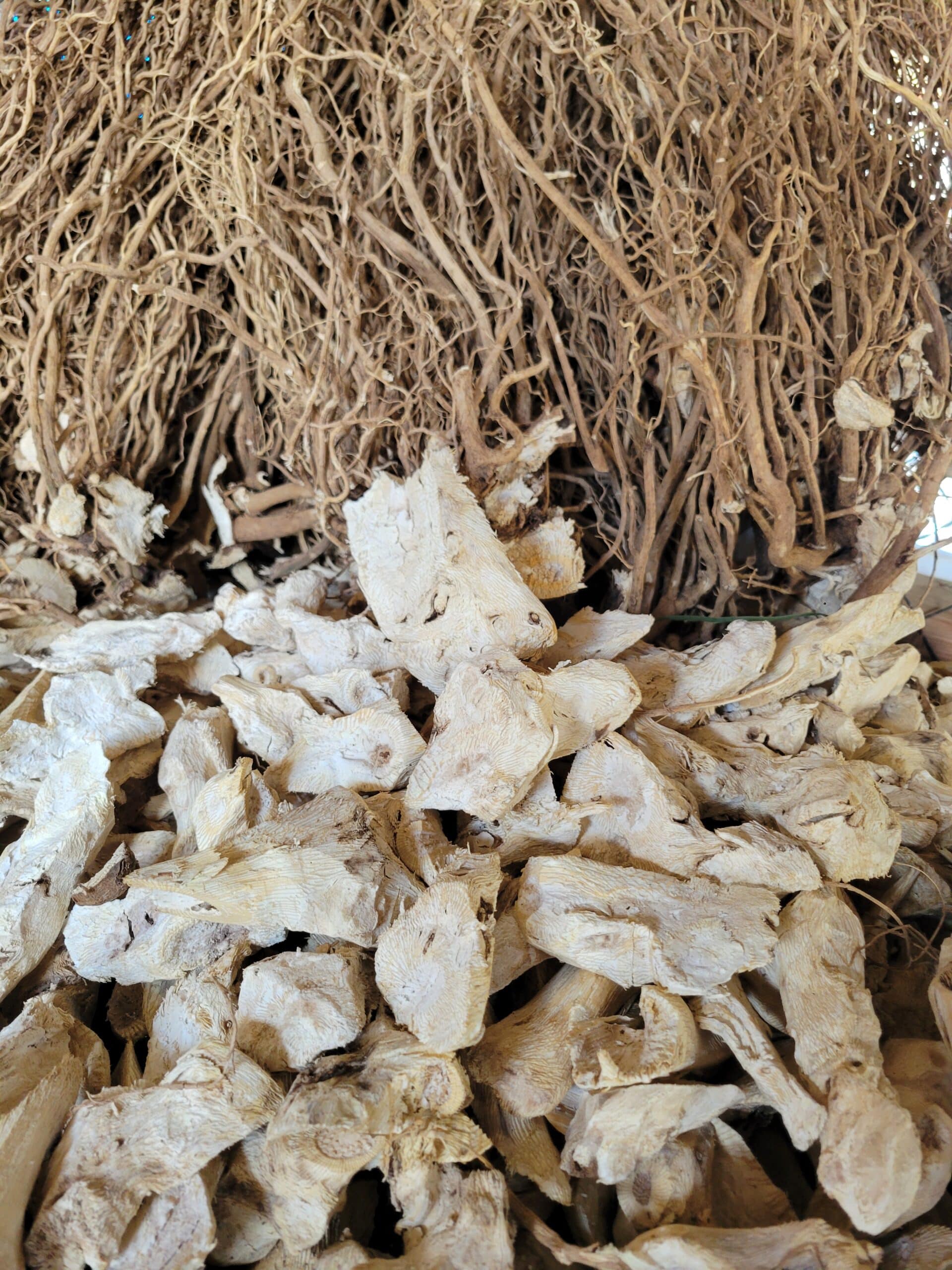 Malo Tonga Kava | Traditional Tongan Medium Grind Kava - Image 4
