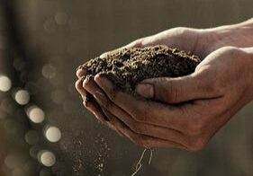 A person holding dirt in their hands