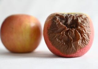 A close up of an apple with chocolate on it